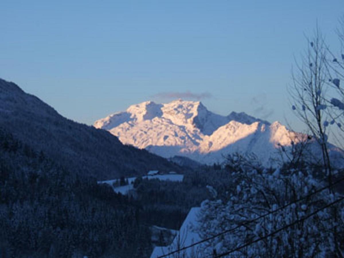 "Chalet Les Aravis" Chalet Et Appartements 르그랑보르낭 외부 사진