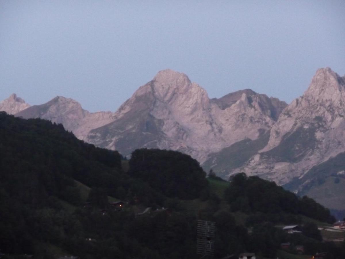 "Chalet Les Aravis" Chalet Et Appartements 르그랑보르낭 외부 사진