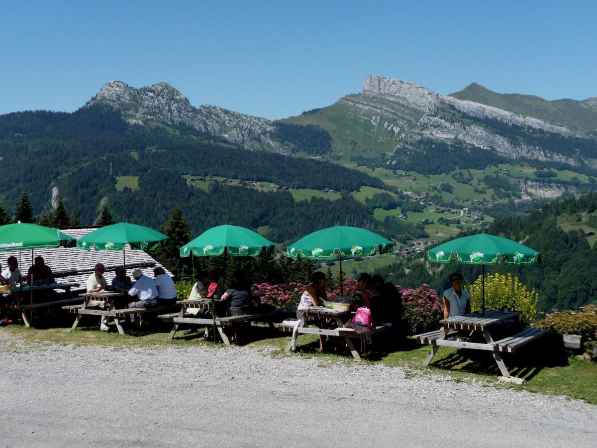 "Chalet Les Aravis" Chalet Et Appartements 르그랑보르낭 외부 사진