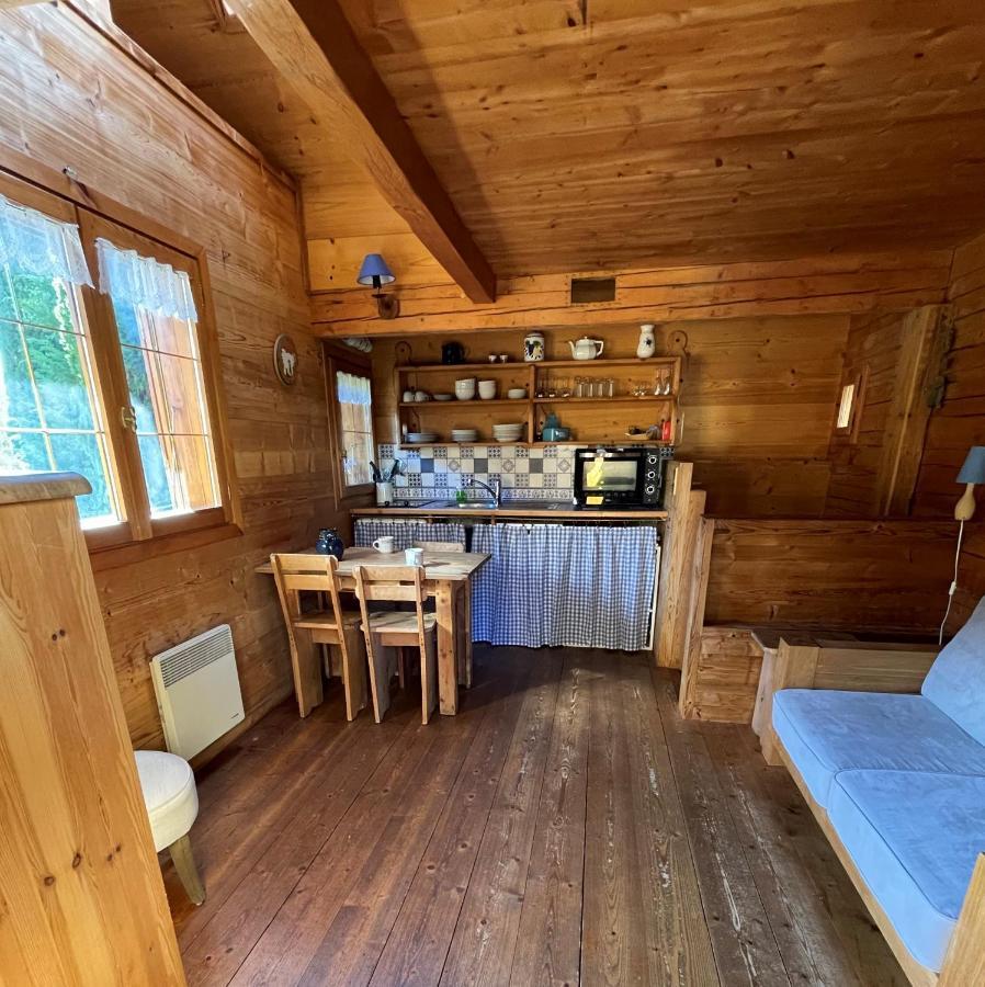 "Chalet Les Aravis" Chalet Et Appartements 르그랑보르낭 외부 사진