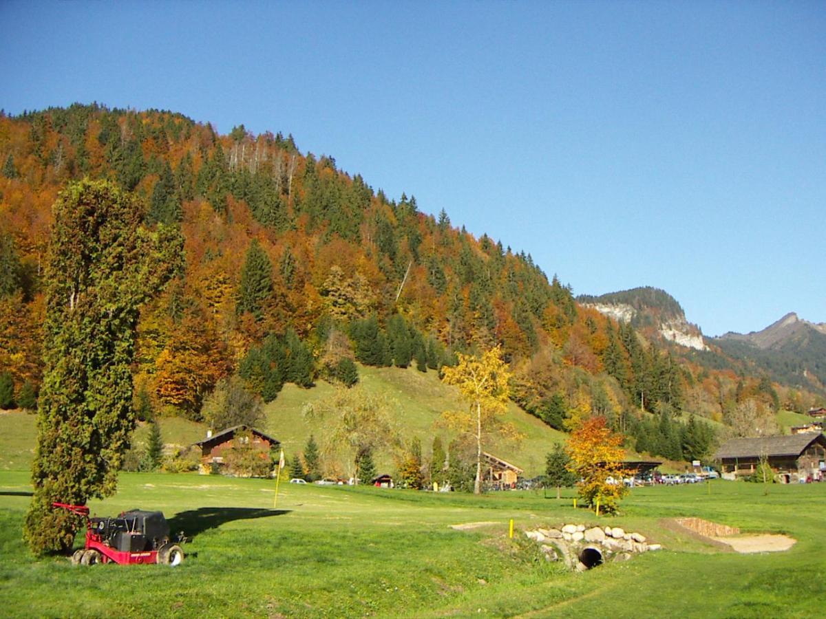 "Chalet Les Aravis" Chalet Et Appartements 르그랑보르낭 외부 사진