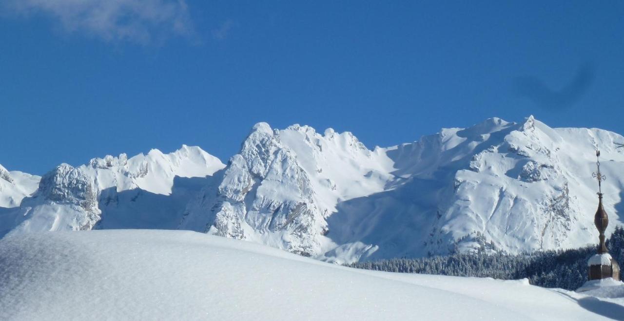 "Chalet Les Aravis" Chalet Et Appartements 르그랑보르낭 외부 사진